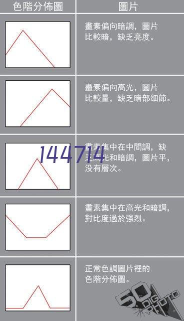 大棚芦笋、金蝉、羊肚菌一地三种三收技术