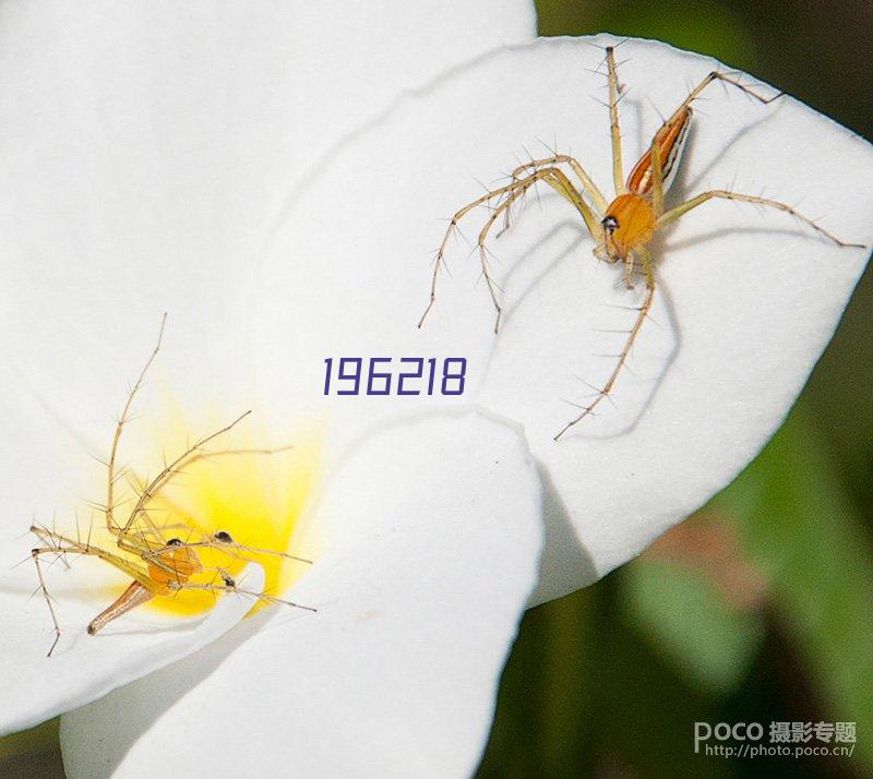 贵阳生物燃料生产