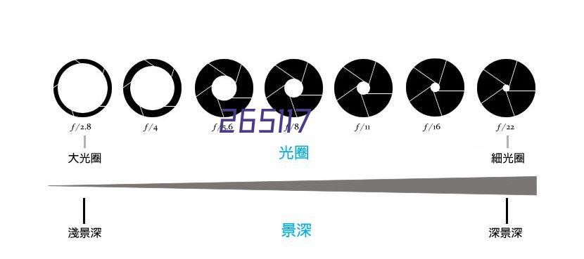 顺德慈善团队成立