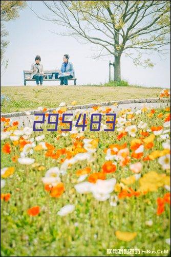 到2032年TPE热塑性弹性体市场预测为388亿美元