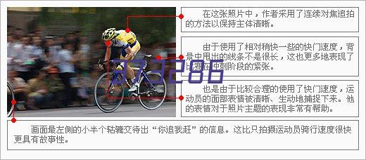 做网站、小程序、微信公众号制作一条龙全包—温州雄霸网络科技有限公司|建站|APP小程序制作|SEO推广优化