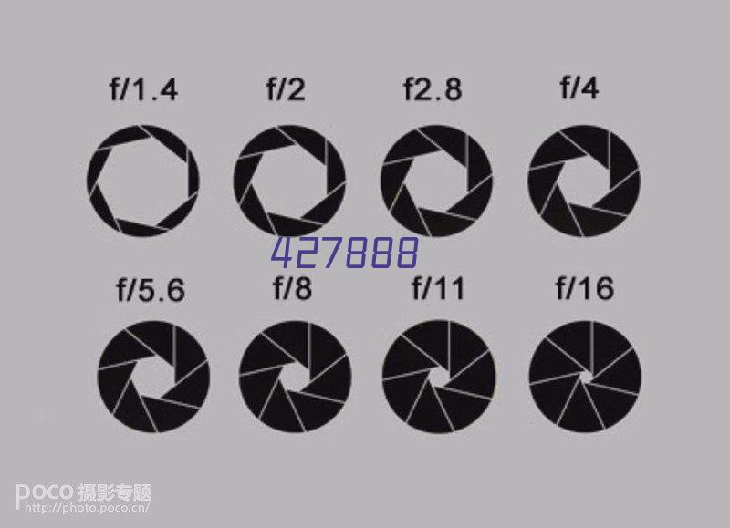 这里是您的网站名称