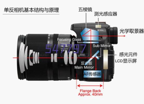 链上未来，域启新篇——chainwain.com区块链域名推荐