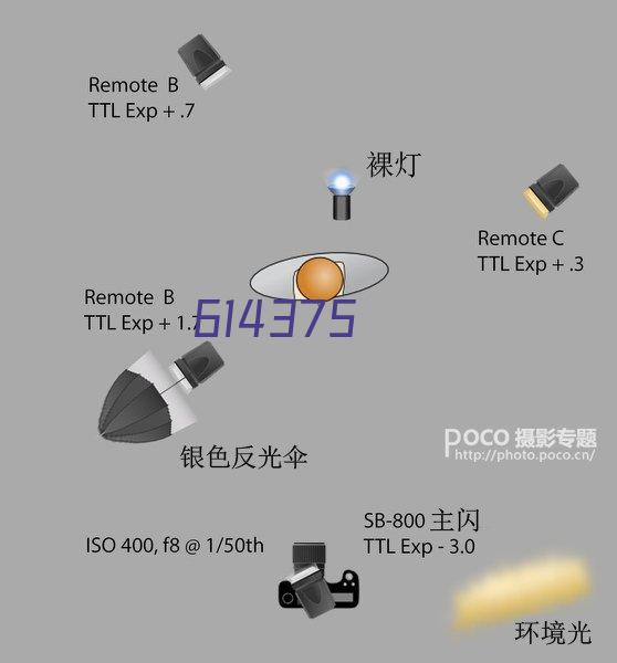 品类出口分析