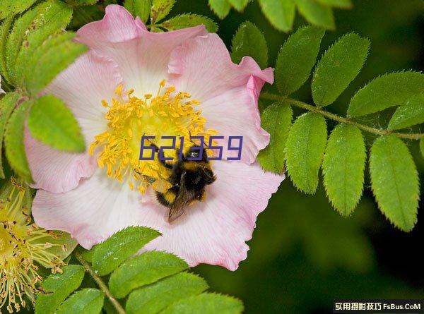 耿一诚,昆仑定位总顾问,中国定位实战权威,成美战略定位董事长