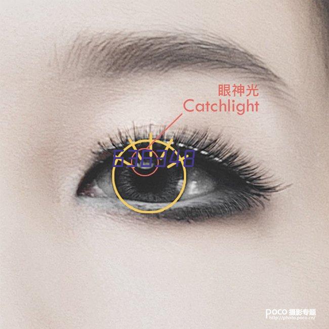 礼恋圣诞节礼物儿童智能AR地球仪3d立体学生用7-14岁女孩生日礼物女儿子玩具男孩初中小学习礼品摆件 5岁6岁8岁9岁10岁12岁以上小朋友蓝充电款带灯