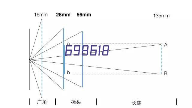 世界500强的选择