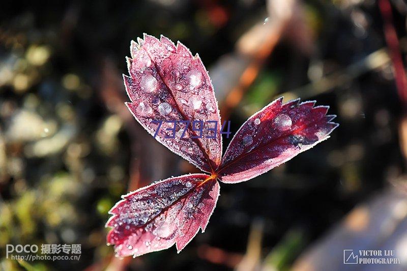 江西理工大学低代码开发案例