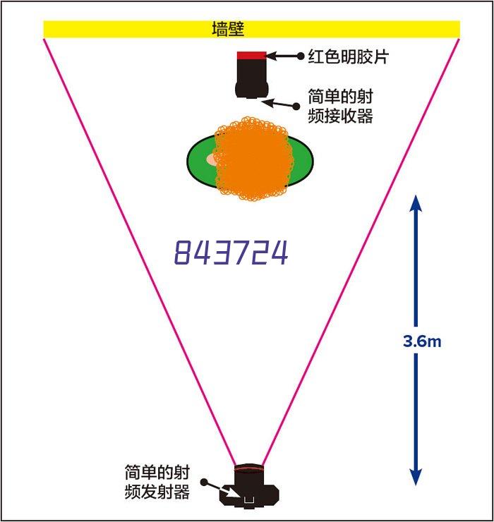 瓦氏长须鲨 wǎ shì zhǎng x