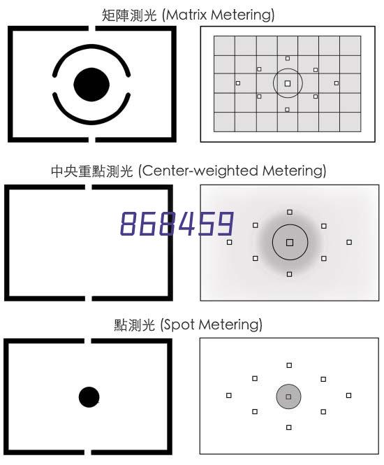 牛羊预混料