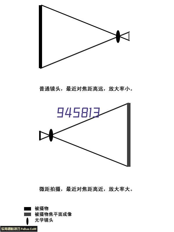 扬州中月米业有限公司