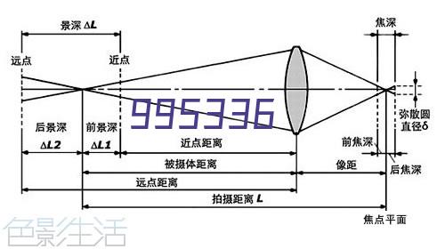 生肖属性